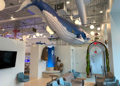 Bubble Children's Dentistry and Orthodontics image: