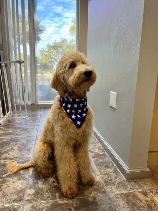 Dental hygienist position at Conte Dental Associates