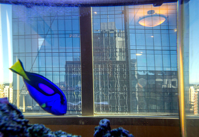 A photo of Bridgeview Dental Associates（Jobs at Dental hygienist）# 4：