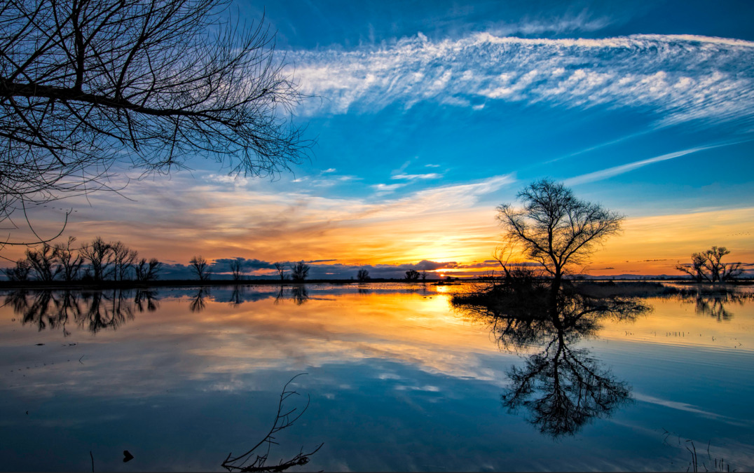 A photo of Seva Hospice / Merced Area（Jobs at Registered nurse）# 5：