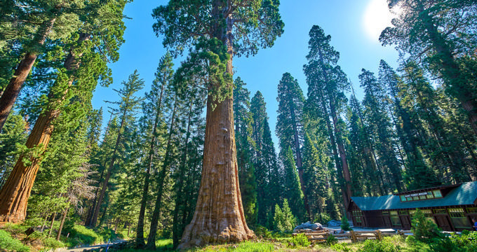 A photo of Seva Hospice / Visalia Area（Jobs at Registered nurse）# 2：