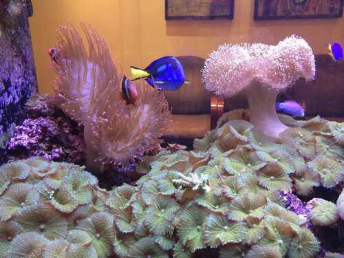 A photo of Bridgeview Dental Associates（Jobs at Dental hygienist）# 8：