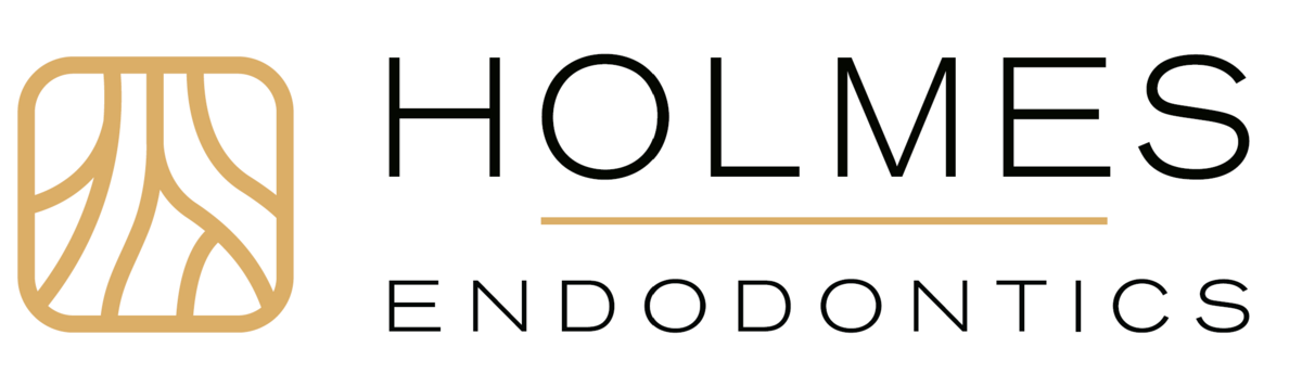 1 of Holmes Endodontics image：