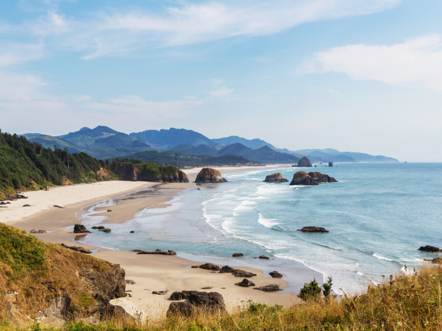A photo of Nehalem Bay Health Center and Pharmacy（Jobs at Dental hygienist）# 3：